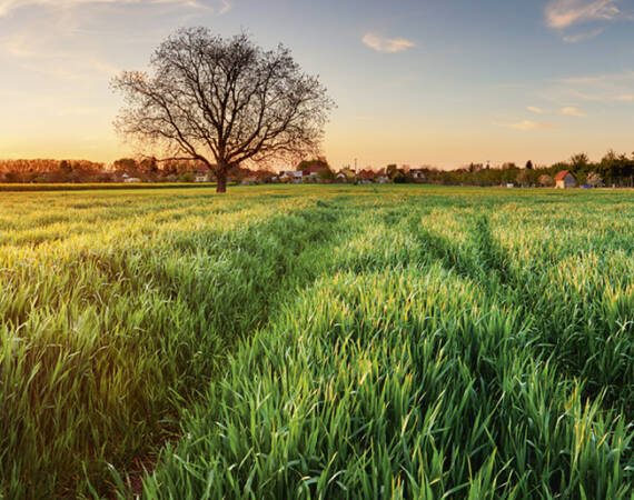 Header_KRONE_Website-1920x515px_BiGM450